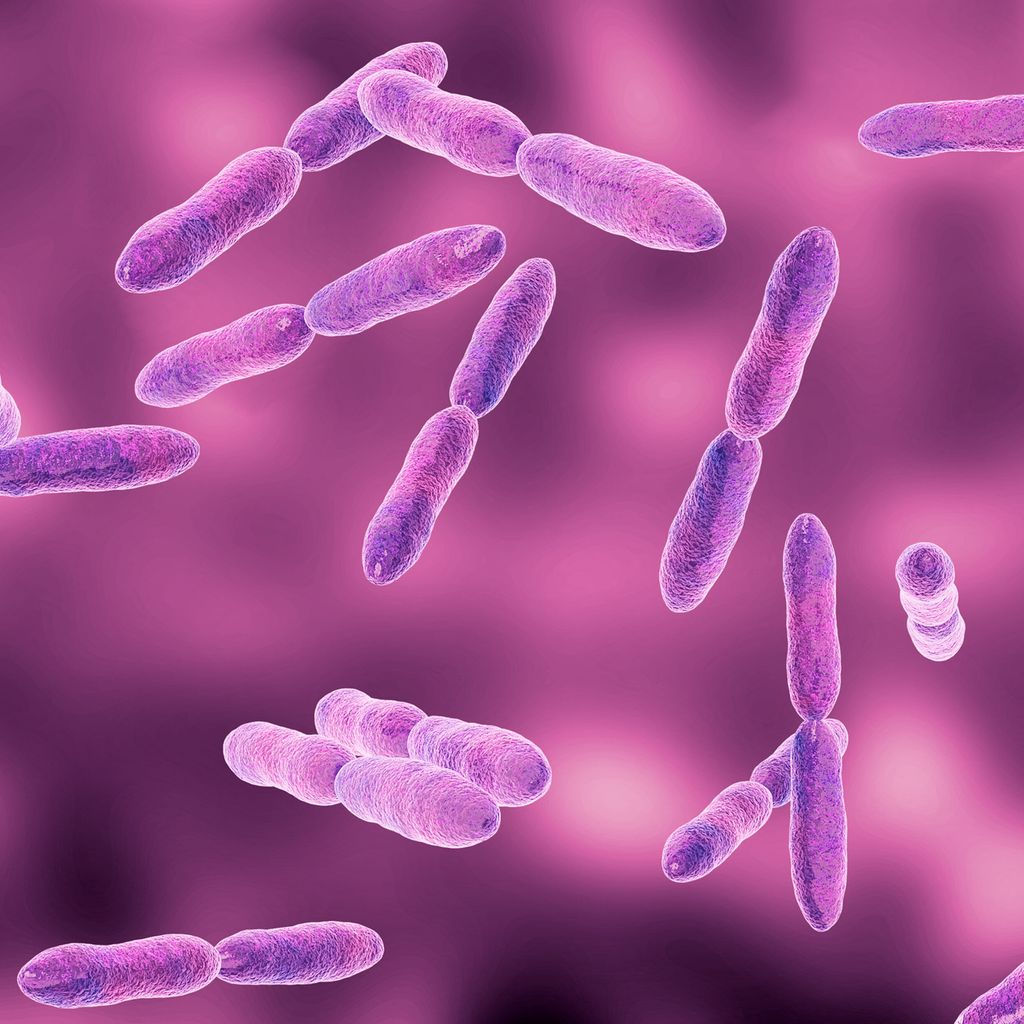 zunahme-von-hypervirulenten-klebsiella-pneumoniae-in-europa